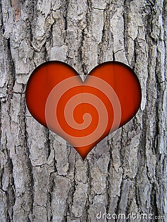 Trunk bark and love heart Stock Photo