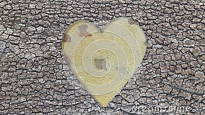 Trunk heart love adore piecies and peel of platanus tree Stock Photo