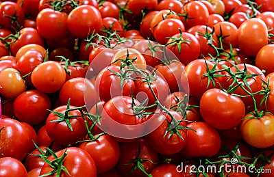 Truss tomatoes for sale Stock Photo