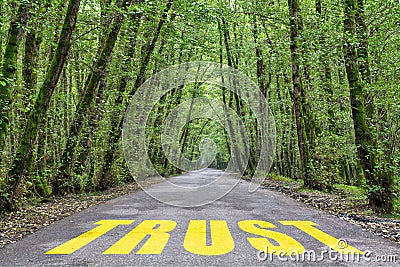 Jungle road to trust Stock Photo