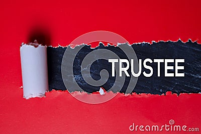 Trustee Text written in torn paper Stock Photo