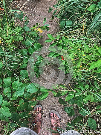 Trusty toes Stock Photo