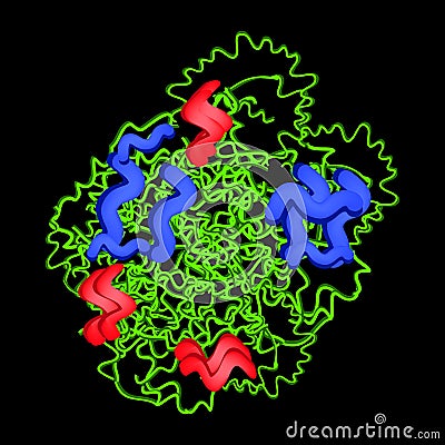 Trypsin molecular chemical formula. Enzyme of the pancreas. Infographics. Vector illustration on black background Vector Illustration