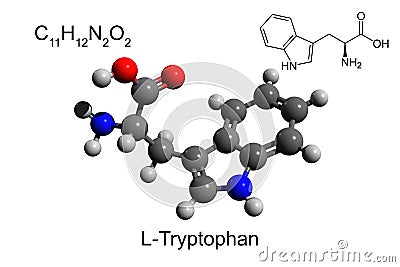 Chemical formula, structural formula and 3D ball-and-stick model of L-tryptophan Stock Photo