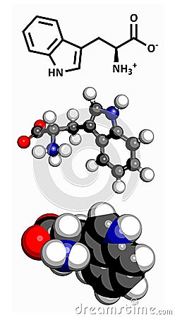 Tryptophan (Trp, W) amino acid, molecular model Stock Photo