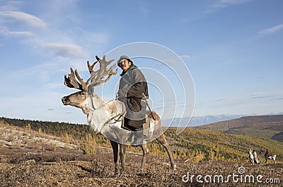 Tsaatan man, dressed in a traditional deel, riding his reindeers Stock Photo