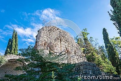 Tsandripshskaya the ruins of the temple, Abkhazia. Stock Photo