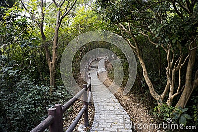 Stone stairway, stair, trail, footpath, country road, alley, lane in Hong Kong forest as background, Tsing Yi Nature Trails Stock Photo