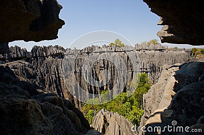 Tsingy de Bemaraha. Typical landscape. Madagascar. Cartoon Illustration