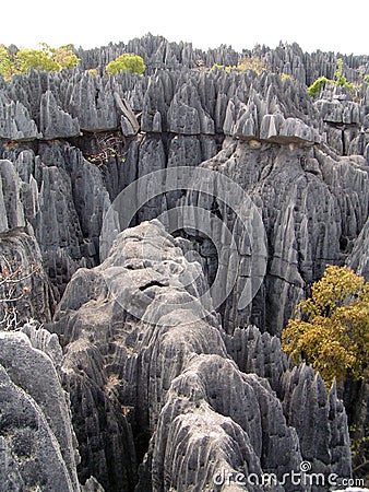 Tsingy Madagascar Stock Photo