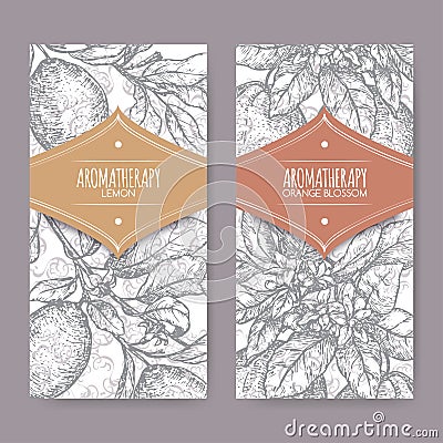 Ttwo labels with Orange blossom and lemon branch sketch Vector Illustration