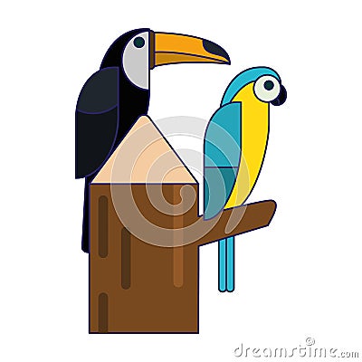 Tucan exotic birds Vector Illustration