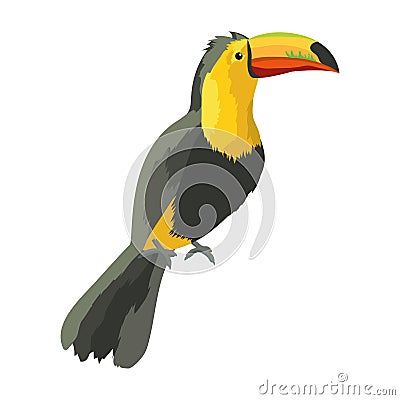 Tucan Exotic and tropical bird Vector Illustration