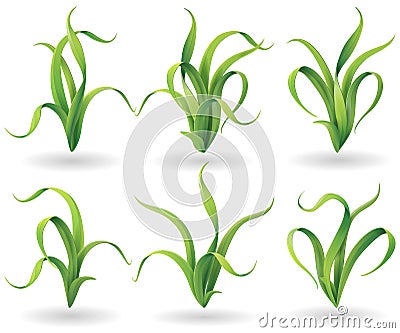 Tuft of grass set Vector Illustration