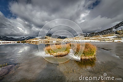 Tufts of meadow in a small alpine lake Stock Photo