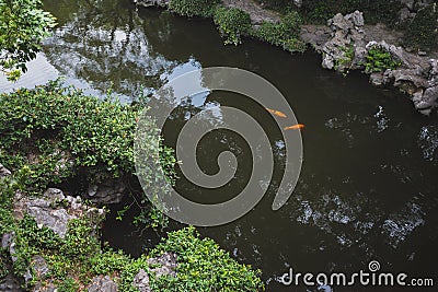 Tuisi Garden in the old town of Tongli, Jiangsu, China Stock Photo