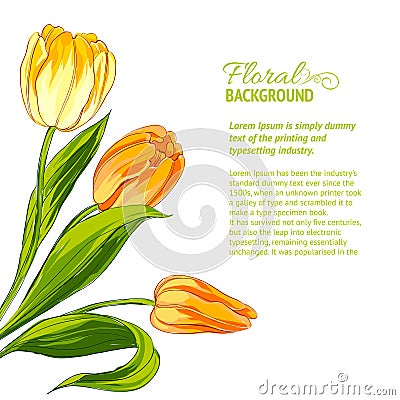 Tulip bouquet. Vector Illustration