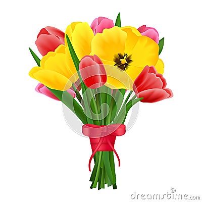 Tulip flower bouquet Vector Illustration