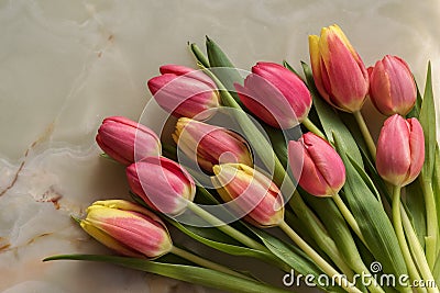 Tulip flowers on holiday background Stock Photo