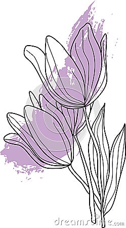 Tulip flowers in lineart Stock Photo