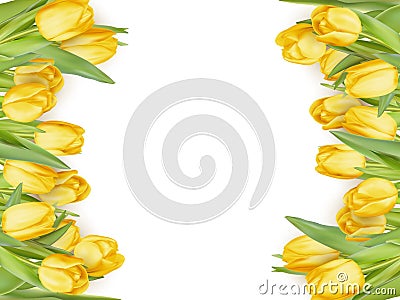 tulip frame. EPS 10 Vector Illustration