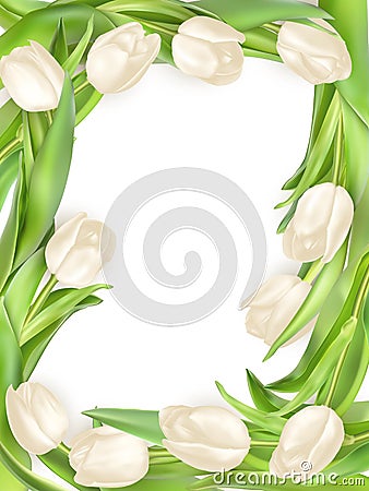 tulip frame. EPS 10 Vector Illustration