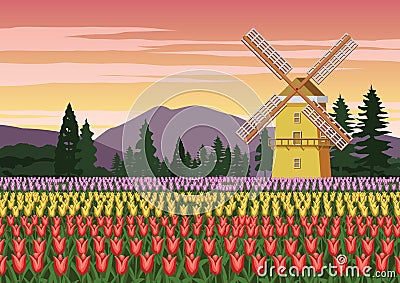 Tulip garden,famous symbol of Holland and wind mill around with beautiful nature,vintage color Vector Illustration