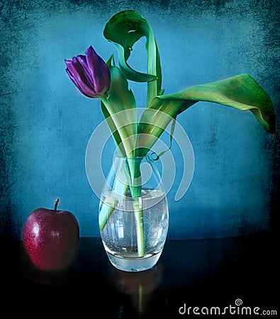 Tulip in a glass vase and apple Stock Photo