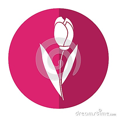 Tulip leaf natural floral shadow Vector Illustration