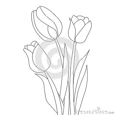 tulip line art flower coloring page design for printing template continuous black stroke Vector Illustration