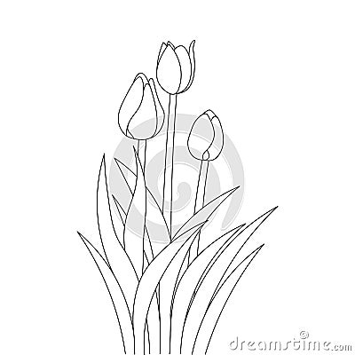 tulip line art flower coloring page design for printing template continuous black stroke Vector Illustration