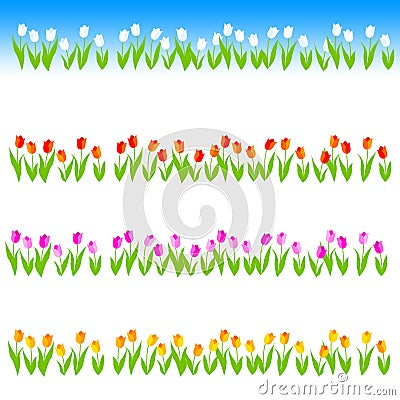 Tulip Line / divider Vector Illustration