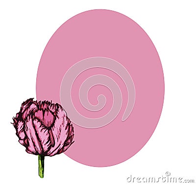 Tulip purple greeting card with leg oval-05 Cartoon Illustration