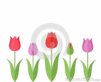 Tulip. Set Vector Illustration