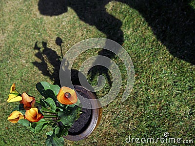 Tulip thief! Stock Photo