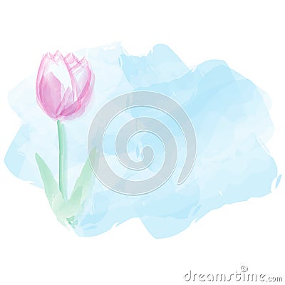 Tulip water color background. Mothers day background. Vector ill Vector Illustration