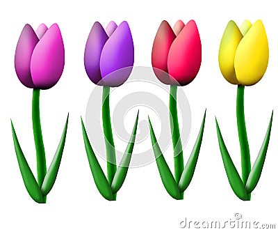 Tulips Stock Photo