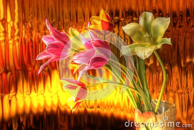 Tulips bouqet - hdr image Stock Photo