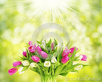 Tulips Bouquet on Green, Spring Tulips Flowers Stock Photo