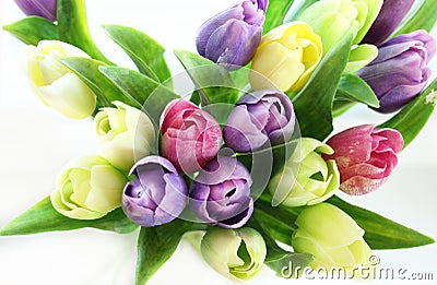 Tulips bouquet Stock Photo