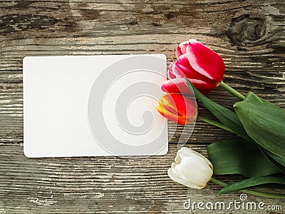 Tulips bunch on dark barn wood planks background Stock Photo