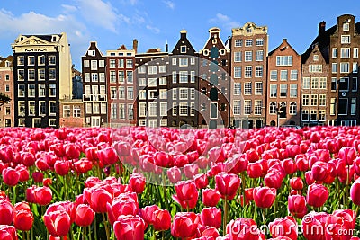 Tulips with canal houses of Amsterdam Stock Photo