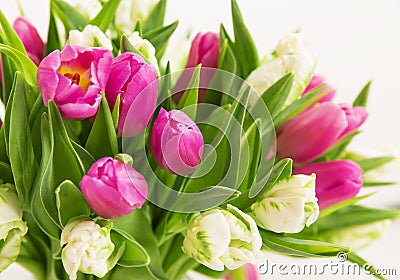 Tulips flowers bouquet Stock Photo