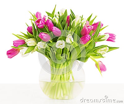 Tulips flowers bouquet in vase, white background Stock Photo