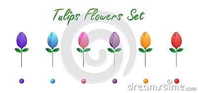 Tulips Flowers Set isolated on white Vector Illustration
