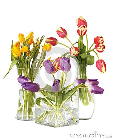 Tulips in glass vases still life Stock Photo