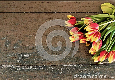 Tulips laying on a table Stock Photo