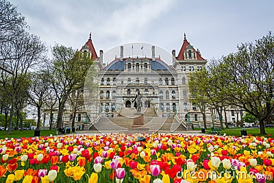 Tulips and The New York State Capitol, in Albany, New York Editorial Stock Photo