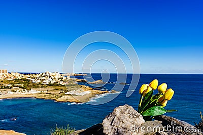 Tulips and sea coast landscape in Spain Stock Photo