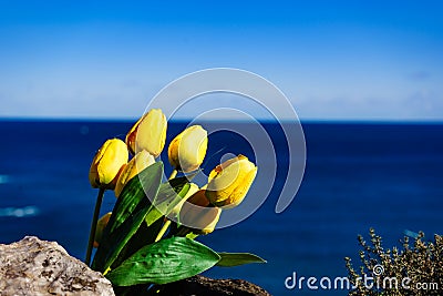 Tulips and sea coast landscape in Spain Stock Photo